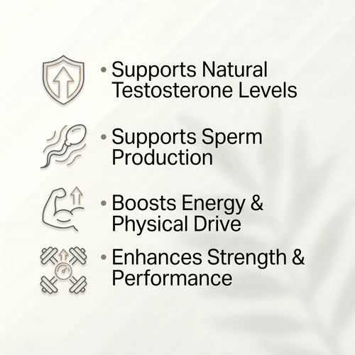 Fadogia Agrestis Extract Capsules